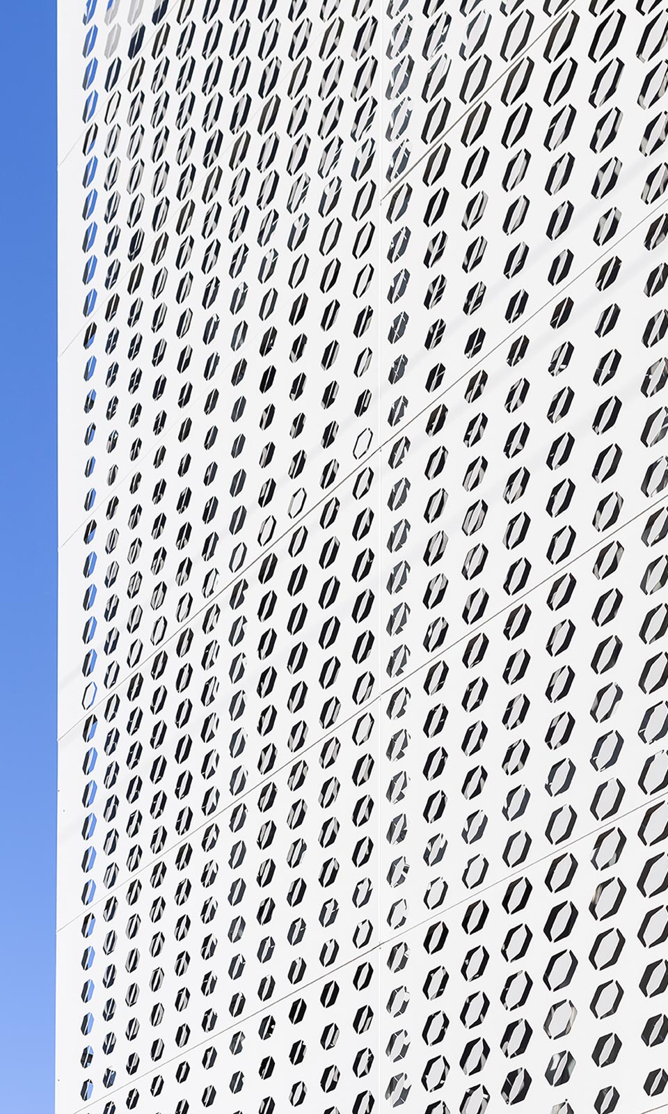 Sueño Dorado — detalle de obra